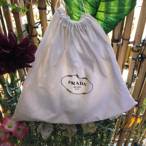 Prada Other - Prada Dustbag 🌺